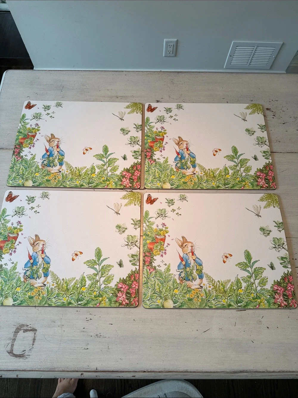 Pottery Barn Peter Rabbit Garden Cork Placemats Set of 4